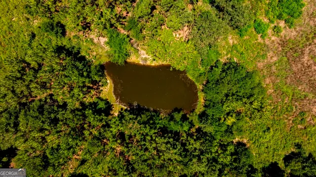 $1,750,000 | 0 Hwy 280 Pembroke Ga 31321, Pembroke, GA 31321