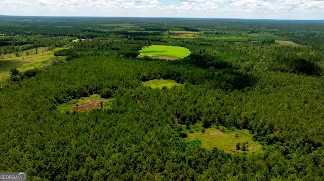 $1,750,000 | 0 Hwy 280 Pembroke Ga 31321, Pembroke, GA 31321