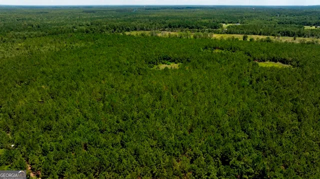 $1,750,000 | 0 Hwy 280 Pembroke Ga 31321, Pembroke, GA 31321