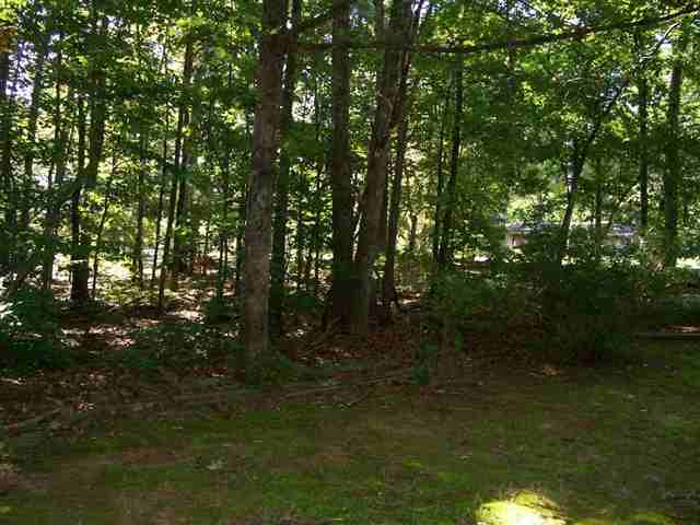 208 Mauldin Mill Road Seneca, SC 29678 - Photo 10 of 12 Gallery Image 10