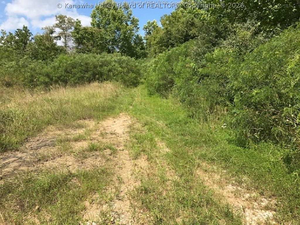 0 Route 2 Point North Point Pleasant, WV 25550 - Photo 8 of 10 Gallery Image 8