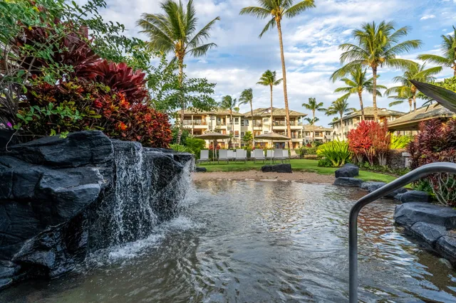 a lake view with palm trees