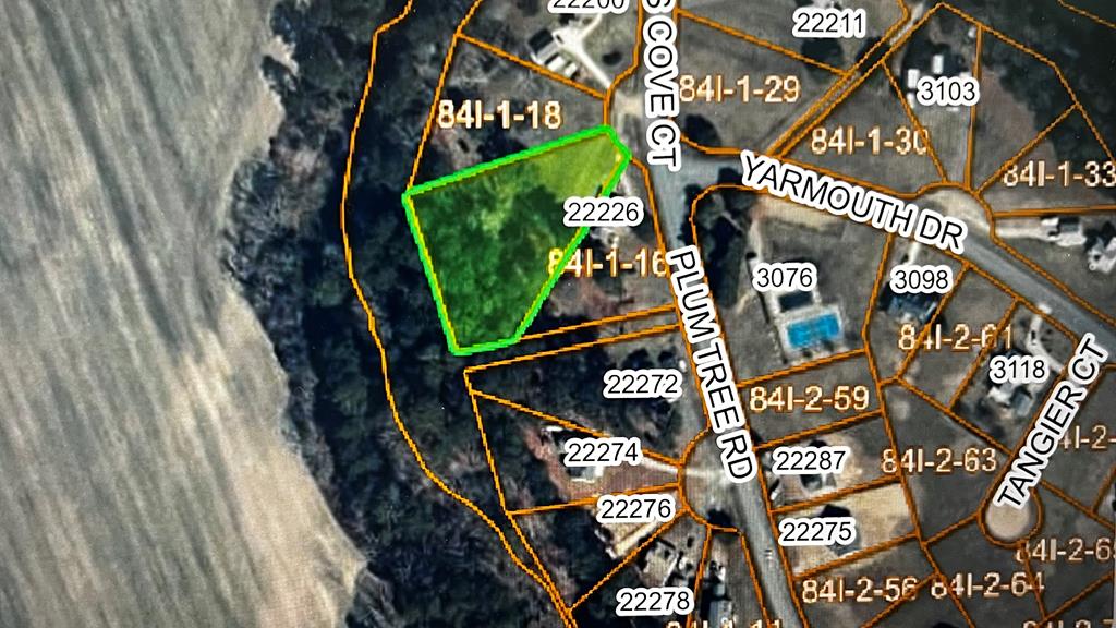 Lot 17 Plum Tree Road, Unit 17 Cape Charles, VA 23310 - Photo 4 of 37