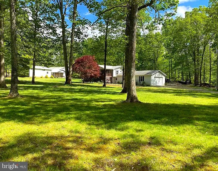 2559 Courtney School Road Midland, VA 22728 - Photo 41 of 64 Gallery Image 41
