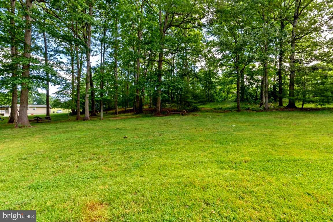 2559 Courtney School Road Midland, VA 22728 - Photo 64 of 64 Gallery Image 64