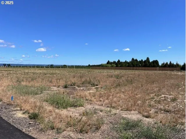 a view of lake with sunset
