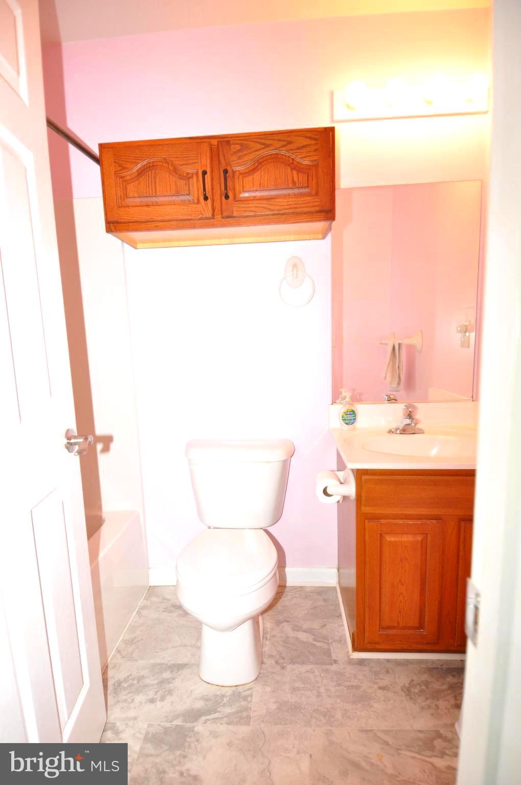 5638 George Island Landing Road Stockton, MD 21864 - Photo 36 of 67 a bathroom with a toilet sink and mirror