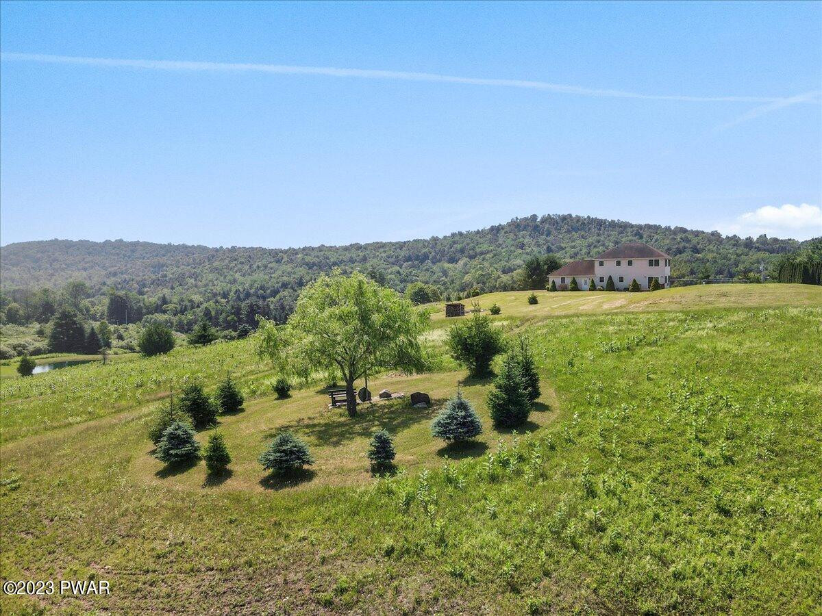 203 Griffith Road Tyler Hill, PA 18469 - Photo 37 of 47