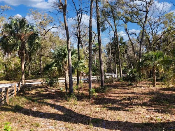 $75,000 | 164 Northeast 293rd Avenue, Old Town, FL 32680