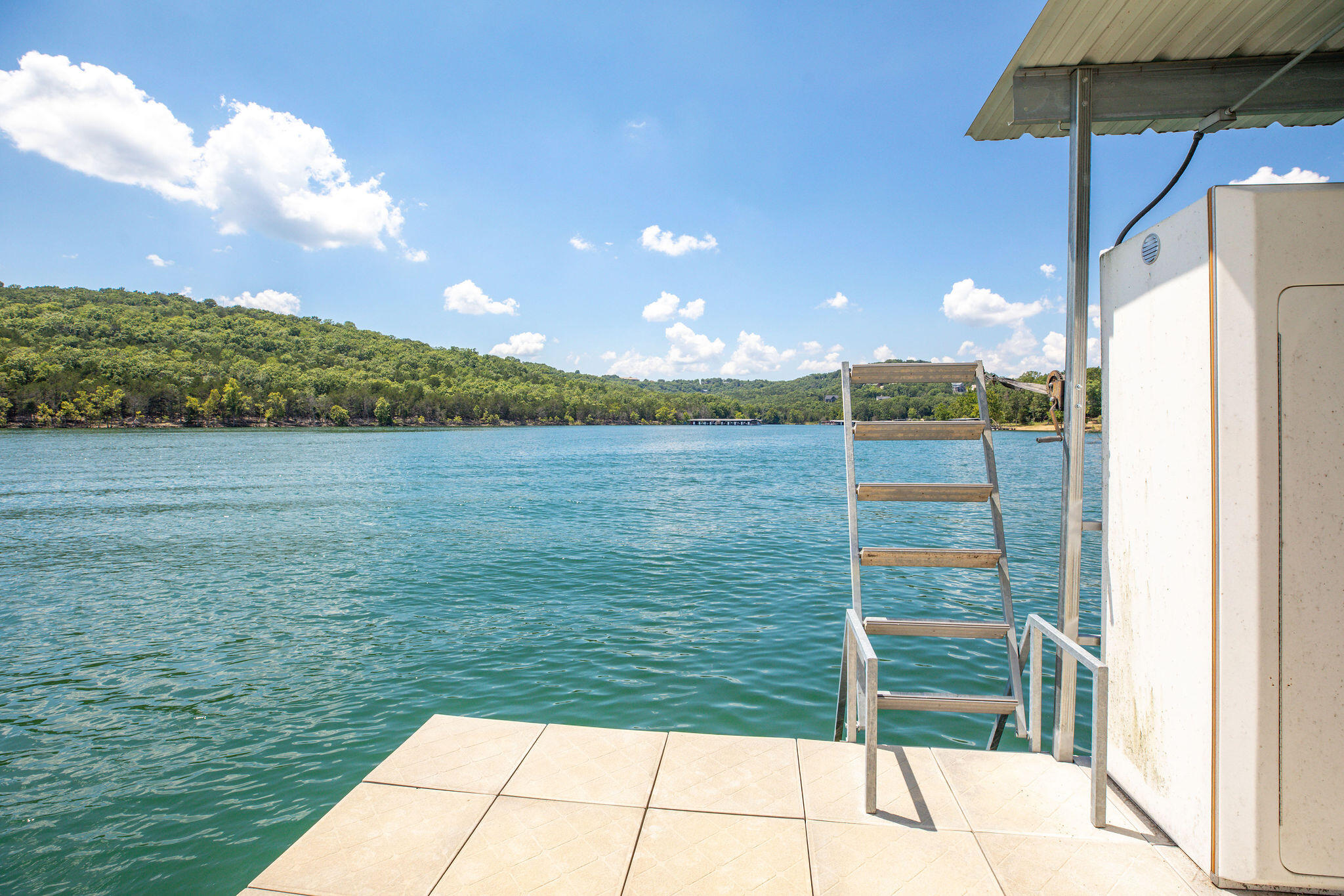 1517 Lake Bluff Drive Reeds Spring, MO 65737 - Photo 58 of 75 1517 Lake Bluff Drive