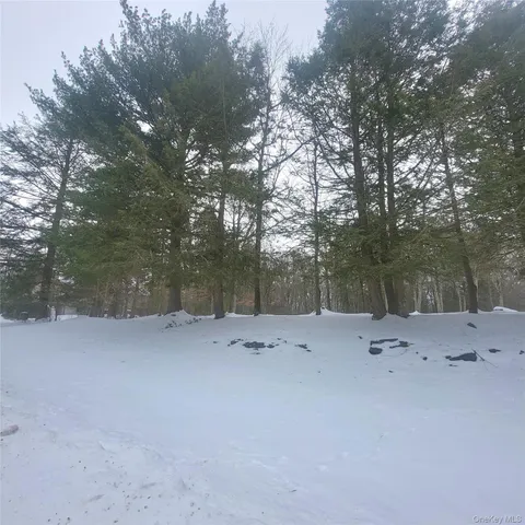 a view of outdoor space with trees