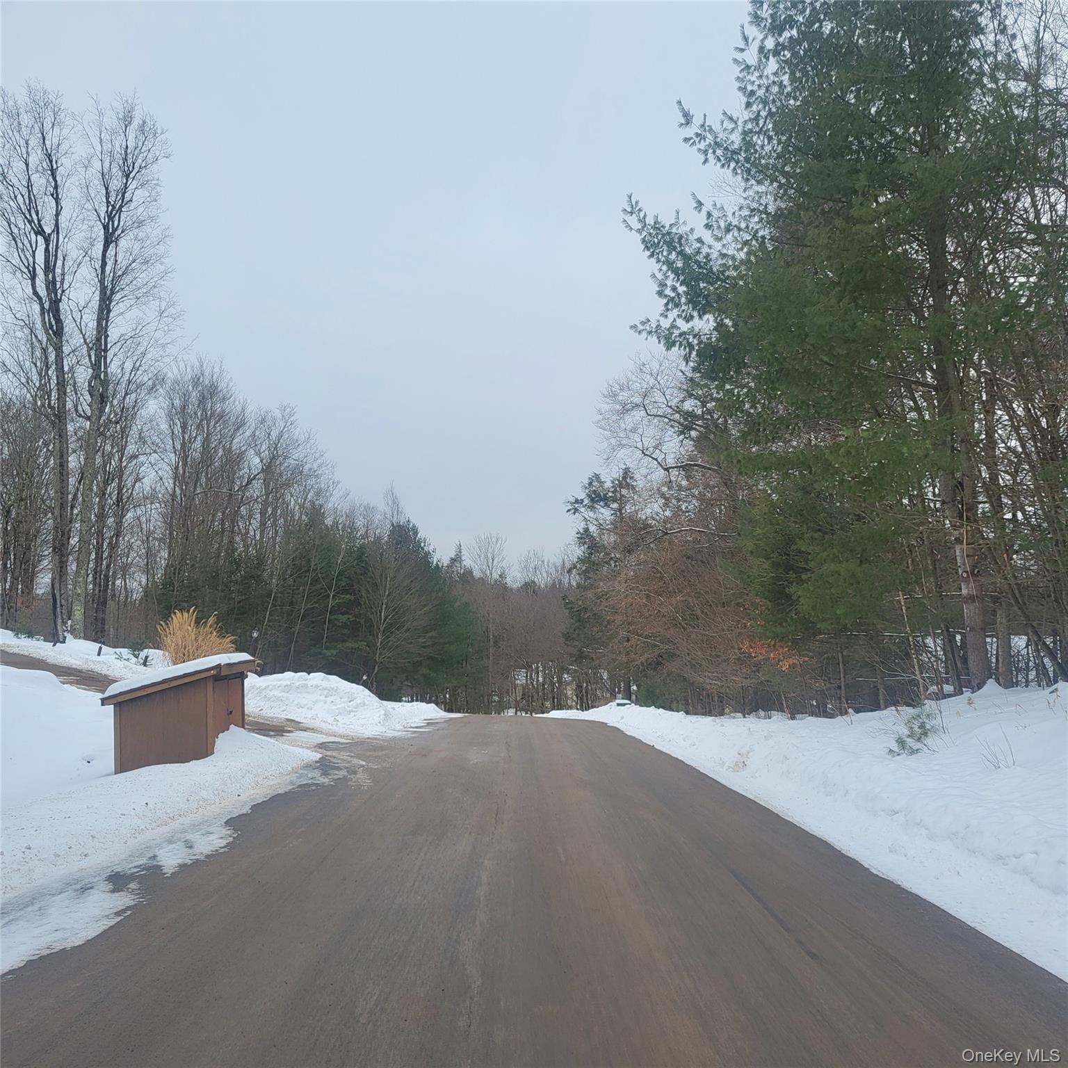 0 Roslyn Ridge Road Mongaup Valley, NY 12720 - Photo 4 of 5 a view of a terrace view