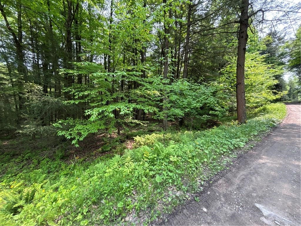 Spring Road South Dansville, NY 14437 - Photo 7 of 11