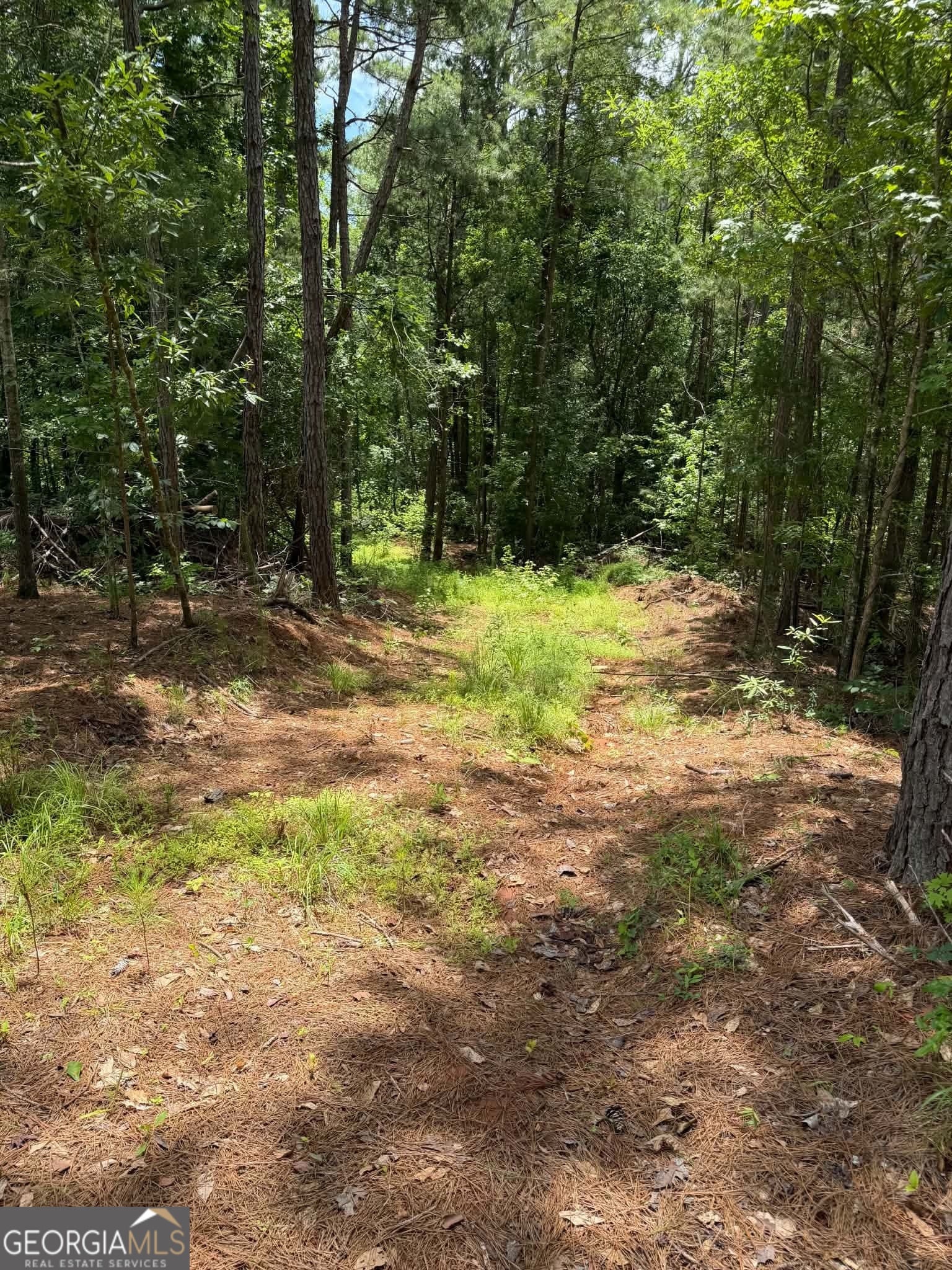 0 Whatley North Road LaGrange, GA 30240 - Photo 10 of 11