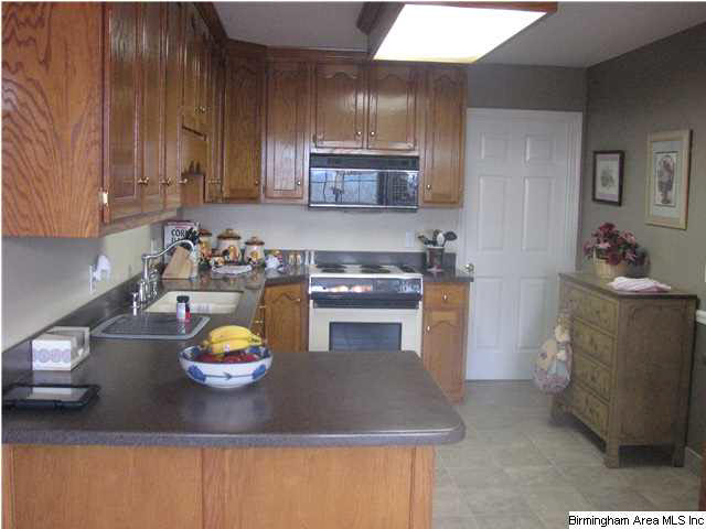 6433 Mountain Ridge Road Trussville, AL 35173 - Photo 5 of 32