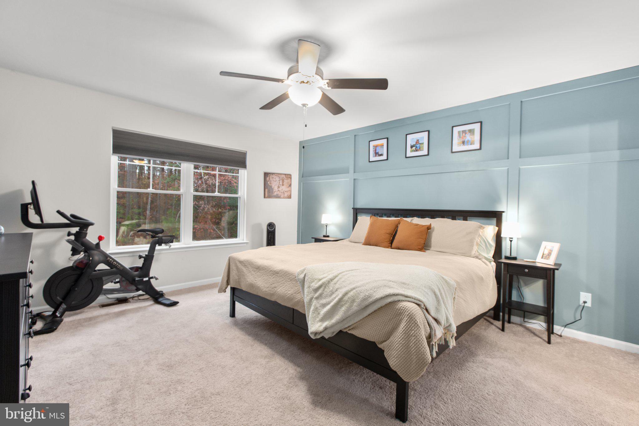 356 Greenes Corner Road Bumpass, VA 23024 - Photo 19 of 41 Primary bedroom with stunning accent wall