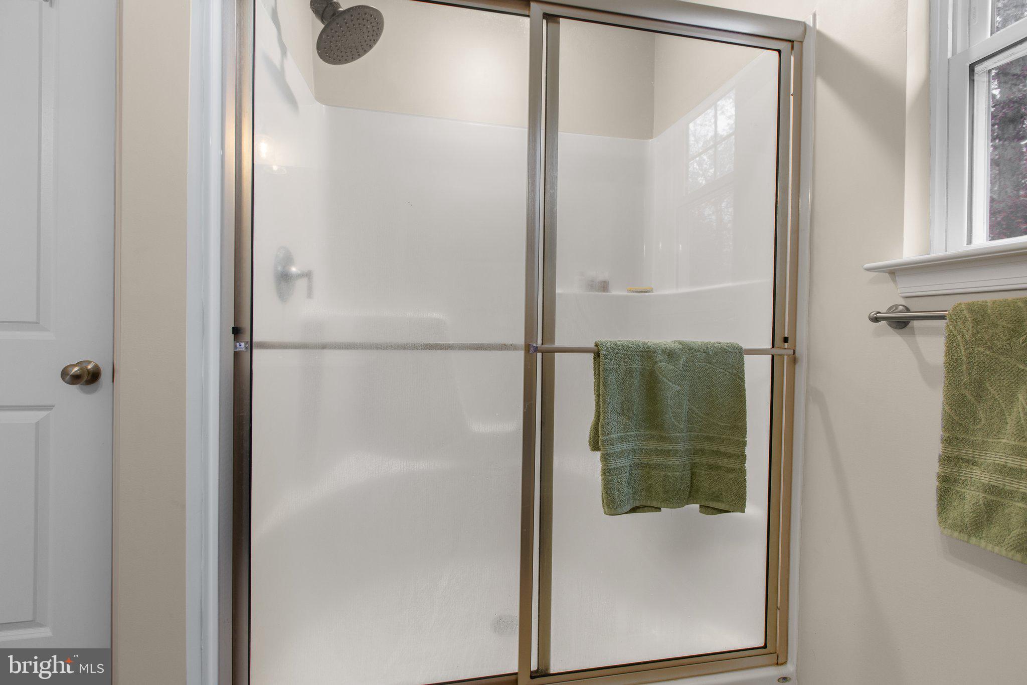 356 Greenes Corner Road Bumpass, VA 23024 - Photo 23 of 41 Glass door walk-in shower