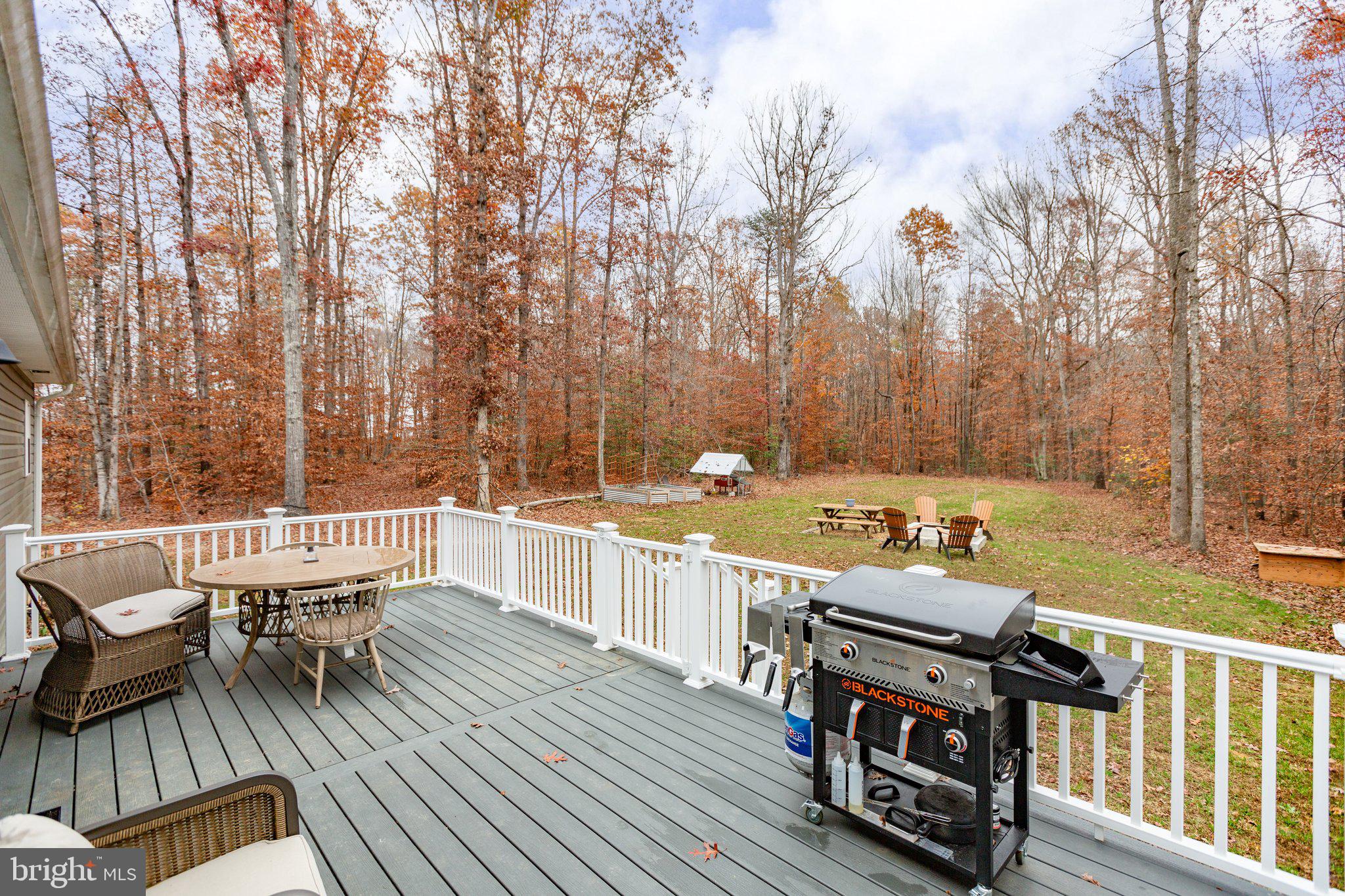 356 Greenes Corner Road Bumpass, VA 23024 - Photo 30 of 41 12x24 modern gray composite back deck