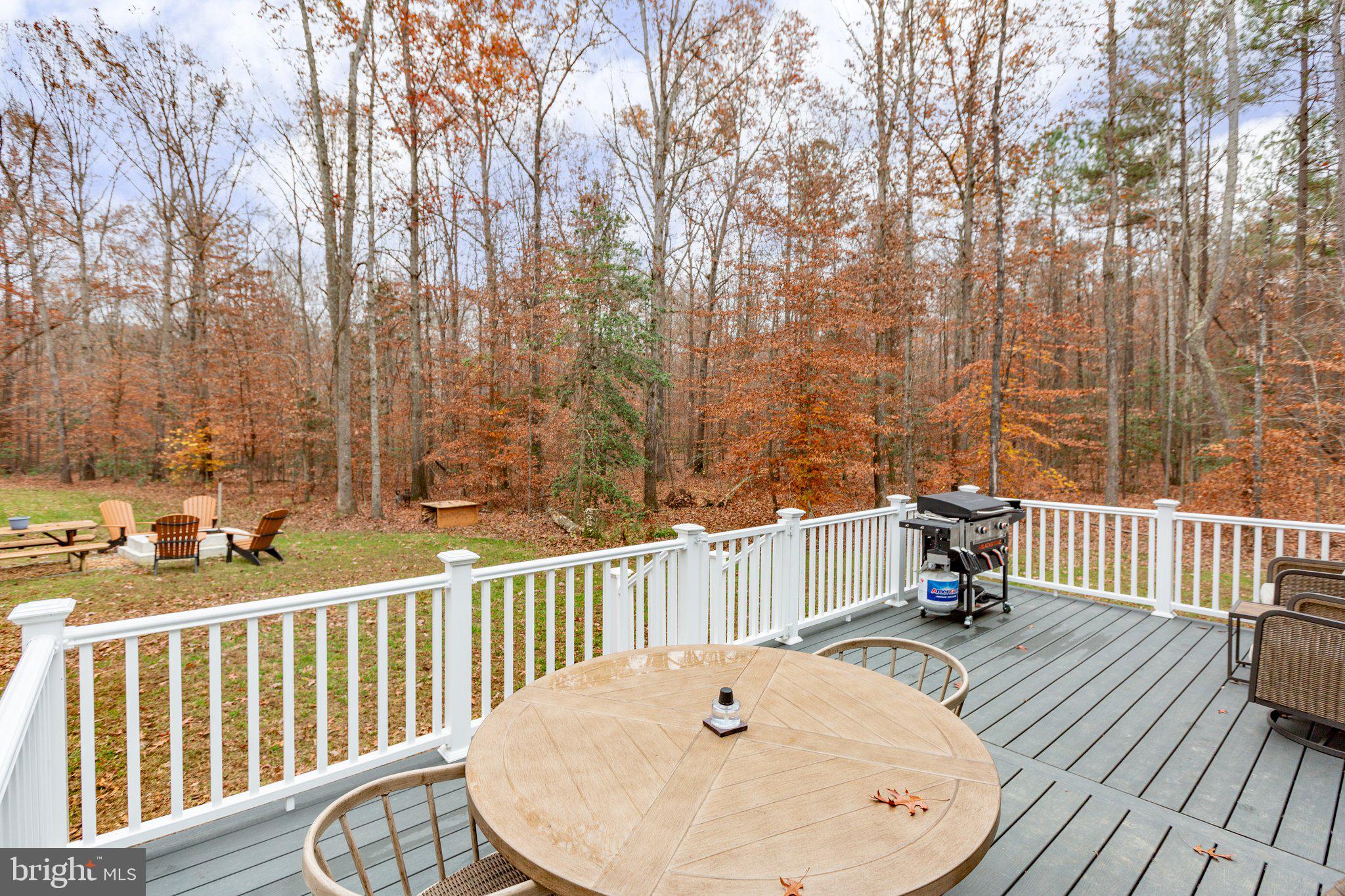 356 Greenes Corner Road Bumpass, VA 23024 - Photo 40 of 41 Deck