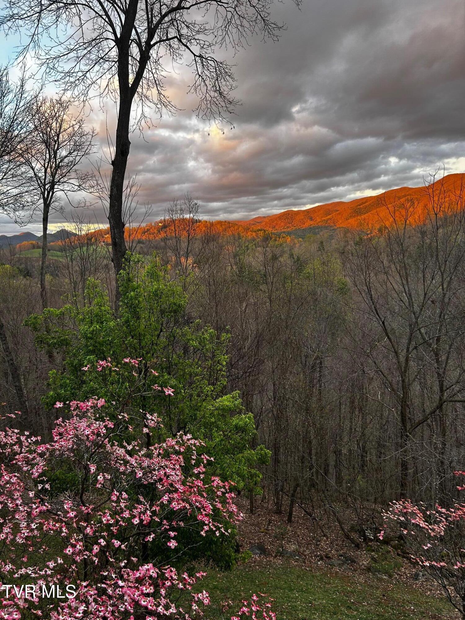 710 Gordon Ridge Road Butler, TN 37640 - Photo 20 of 46 710 sunset