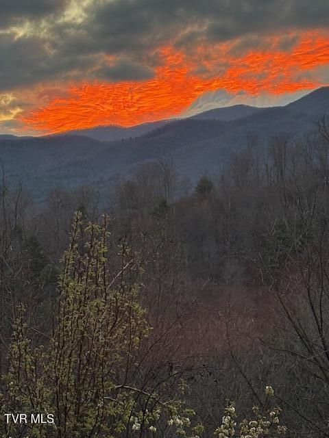 710 Gordon Ridge Road Butler, TN 37640 - Photo 21 of 46 710 Sunrise