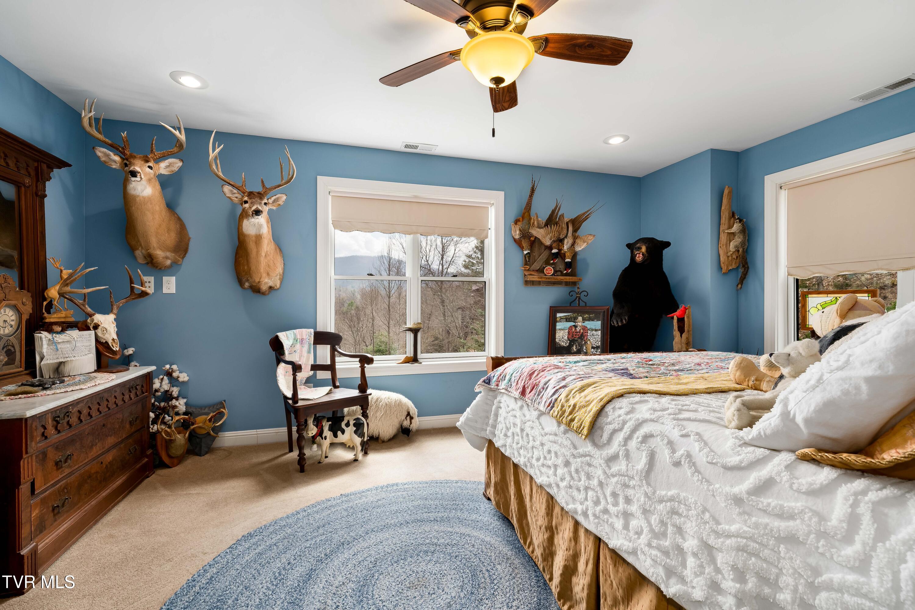 710 Gordon Ridge Road Butler, TN 37640 - Photo 38 of 46 710 Gordon Ridge Road (119 of 142)