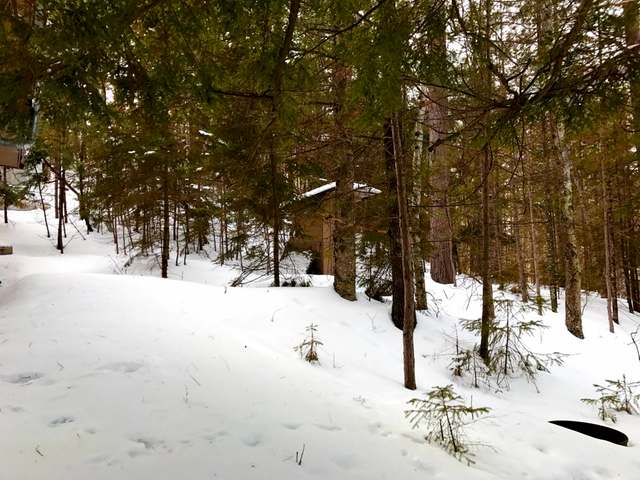 W8930 Forrester Road Tomahawk, WI 54487 - Photo 10 of 14 Gallery Image 10