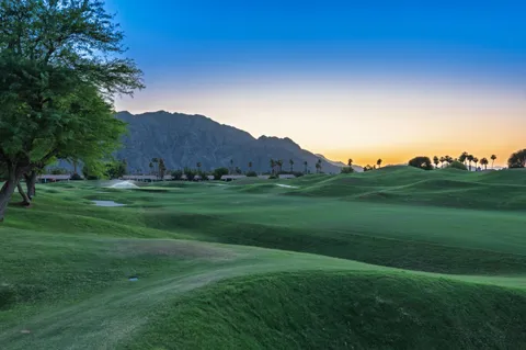 a view of a grassy field with trees
