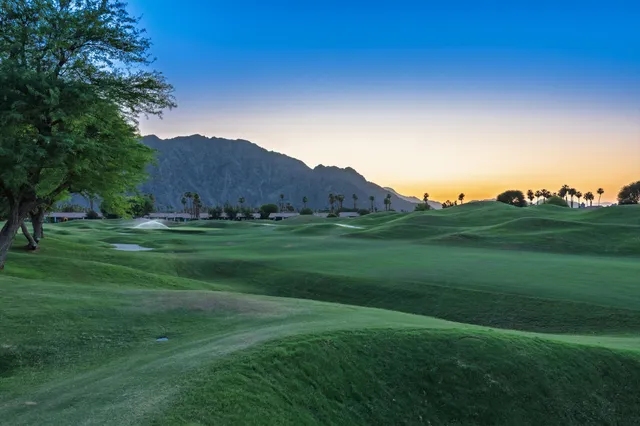 a view of a grassy field with trees