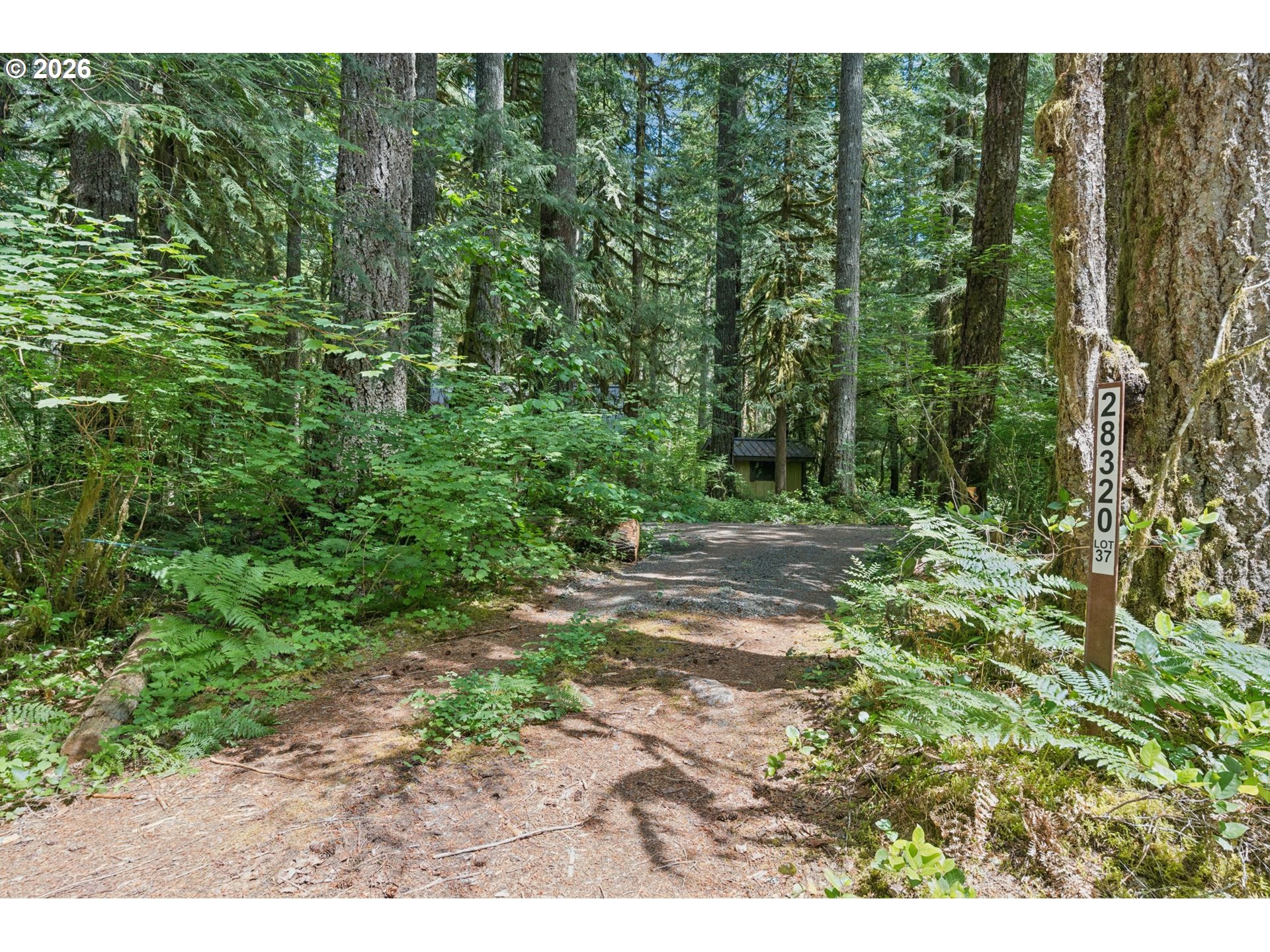 28320 Road 20 Rhododendron, OR 97049 - Photo 7 of 41