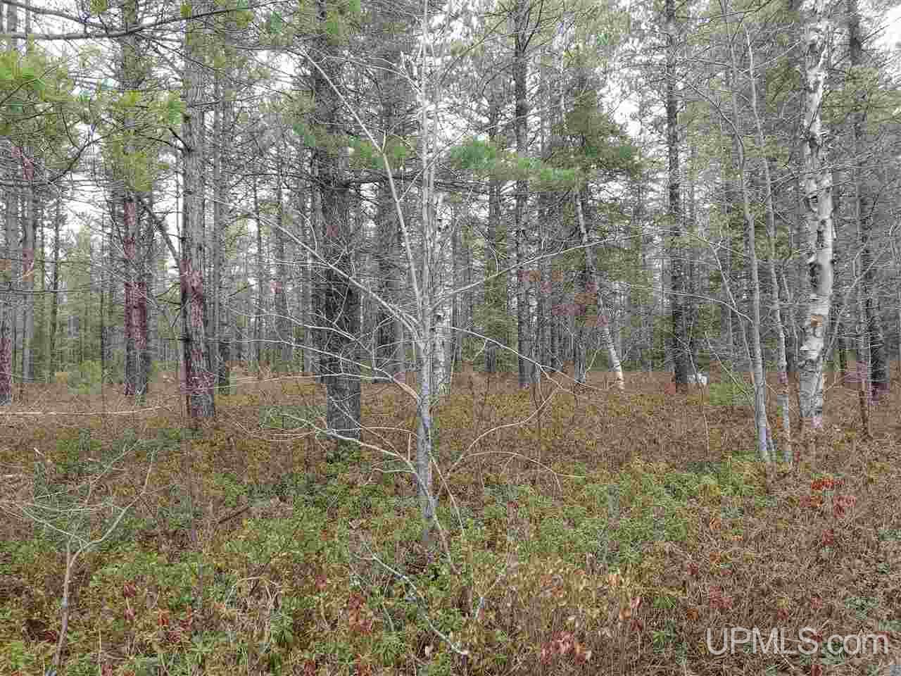 Lot 12 Rice Landing Rd Lake Lake Linden, MI 49945 - Photo 21 of 43