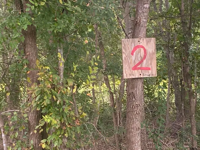 $18,500 | Lot 4 Cr 3502 Cuney Tx 75759, Jacksonville, TX 75766