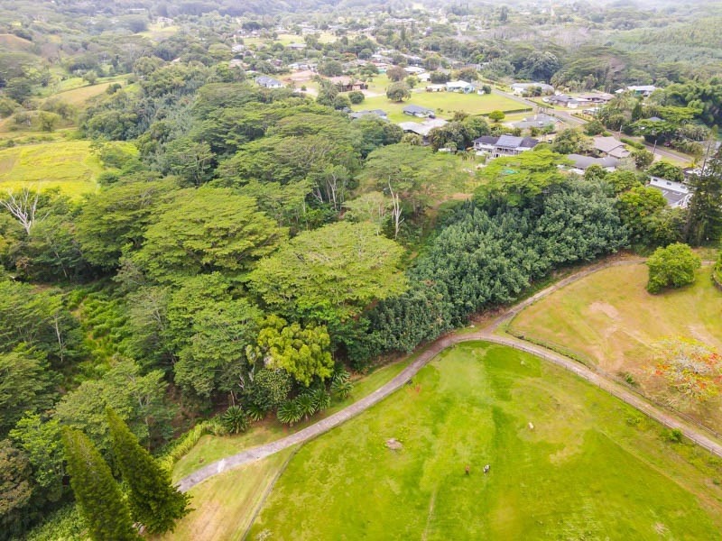 37 Omao Road Koloa, HI 96756 - Photo 8 of 29