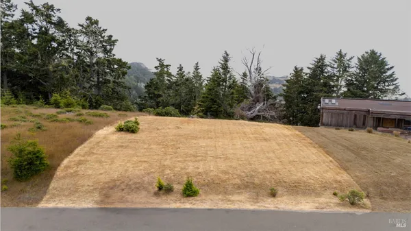 a view of a backyard of the house