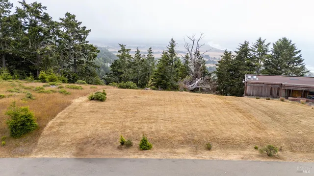 a view of backyard with large trees