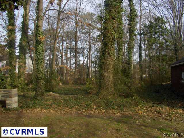 5107 Coxson Road Sandston, VA 23150 - Photo 8 of 8 Other - Closer view of the wooded area in the back