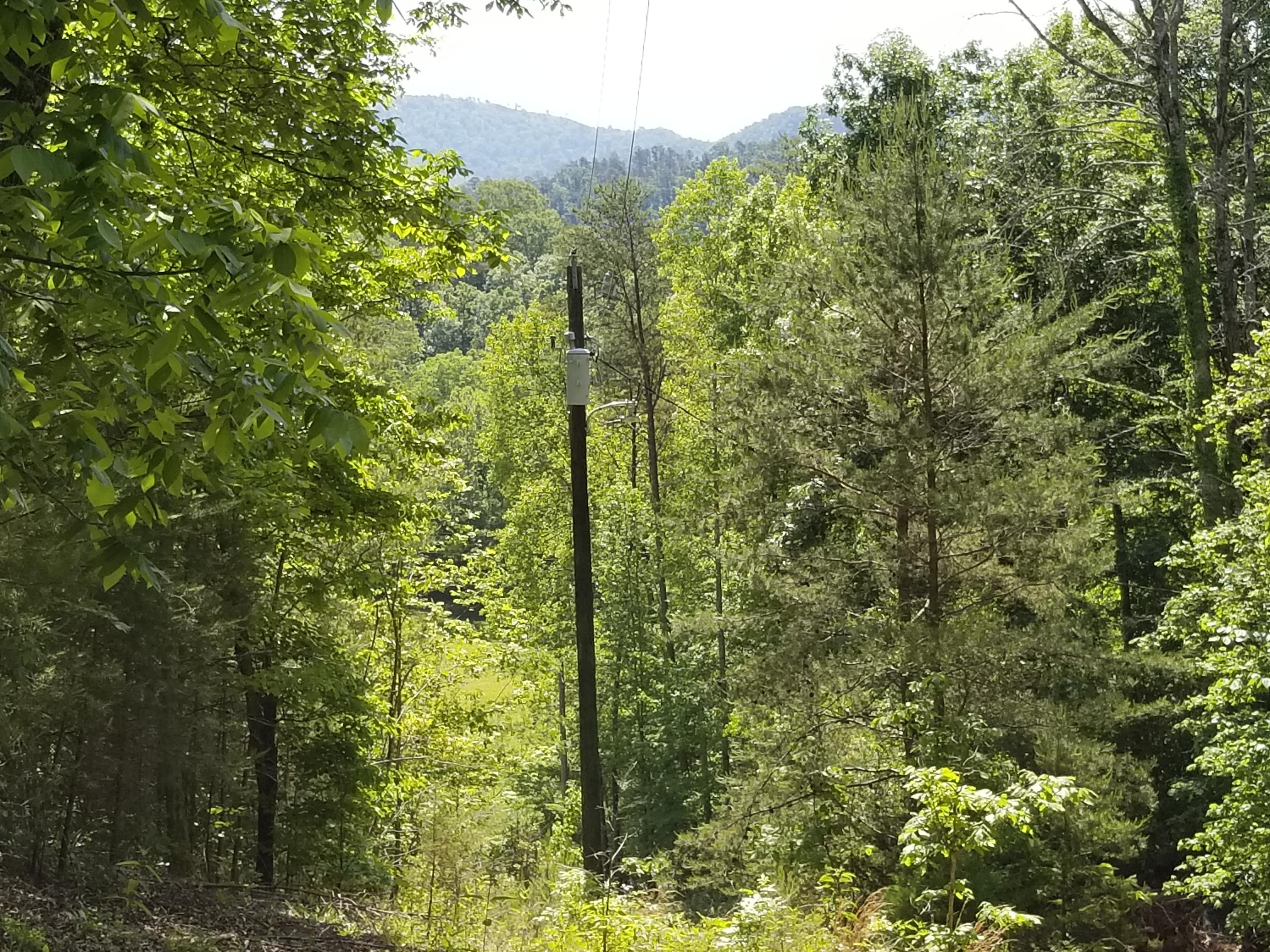 6835 4 Mile Road Maryville, TN 37803 - Photo 1 of 4 6843 Four Mile Rd 193
