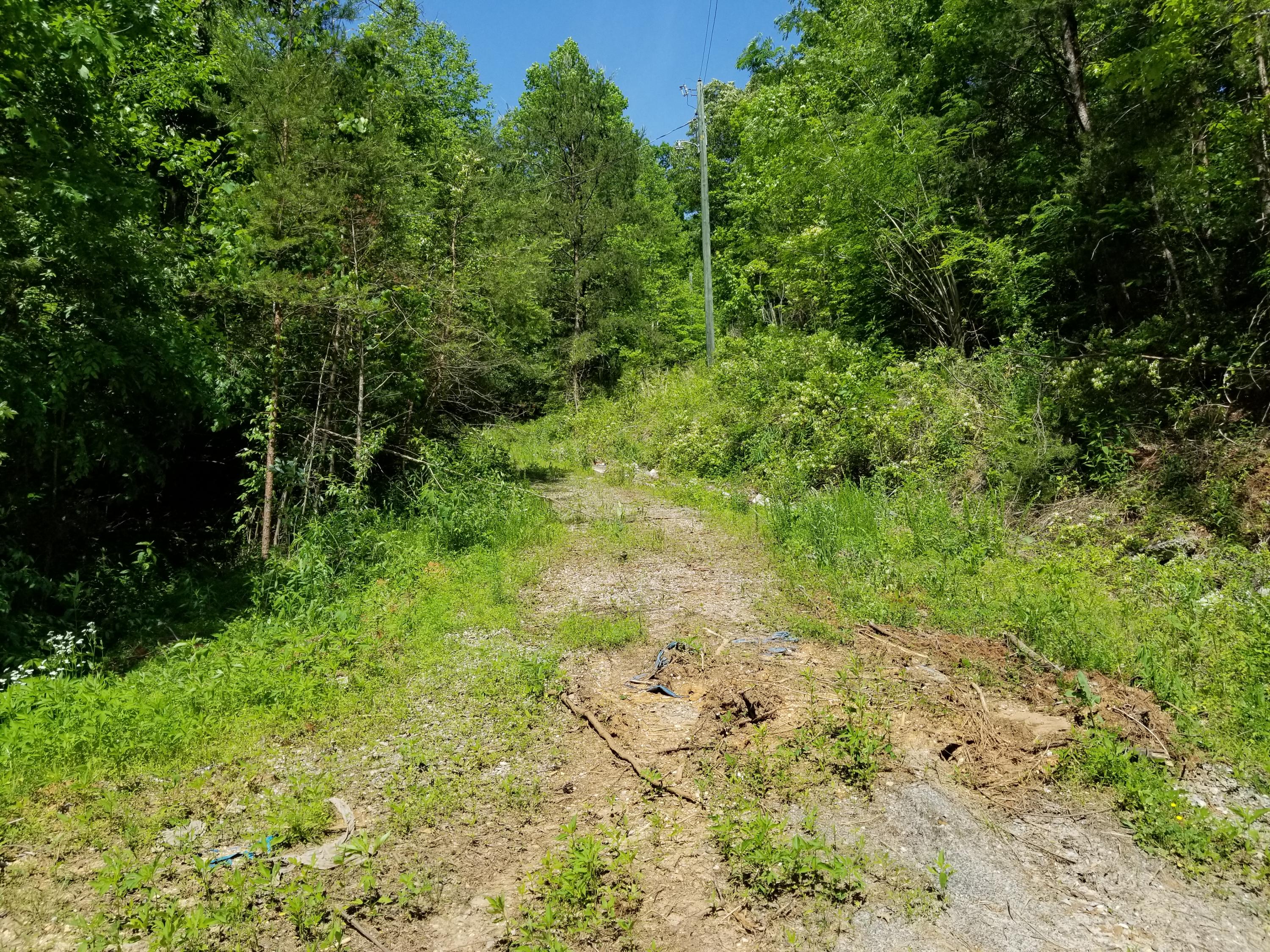 6835 4 Mile Road Maryville, TN 37803 - Photo 2 of 4 6843 Four Mile Rd 190