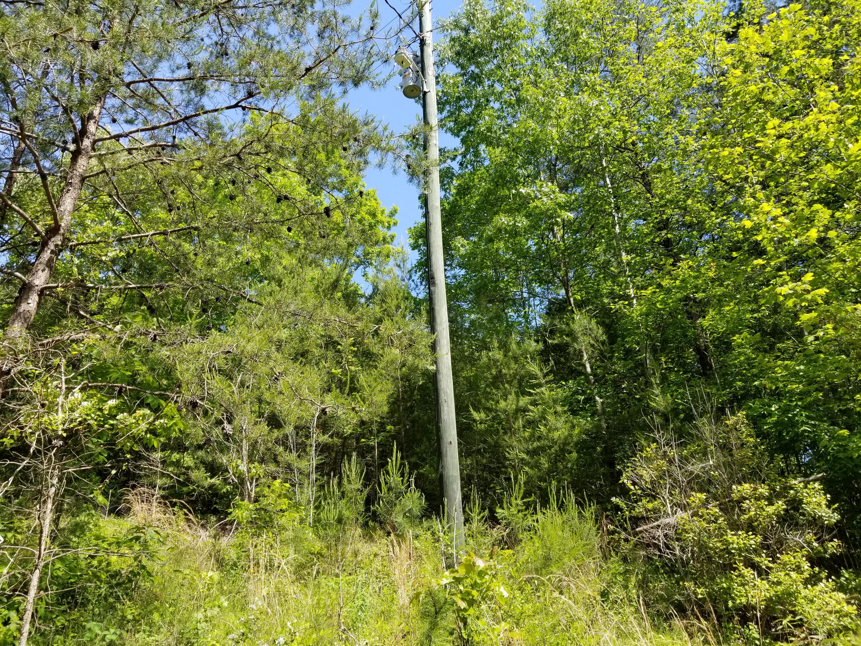 6835 4 Mile Road Maryville, TN 37803 - Photo 3 of 4 6843 Four Mile Rd 191