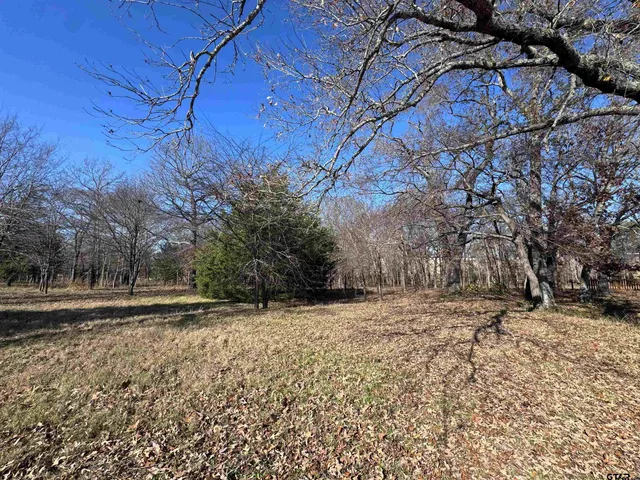 $205,000 | 23240 Bridle View Drive, Lindale, TX 75771