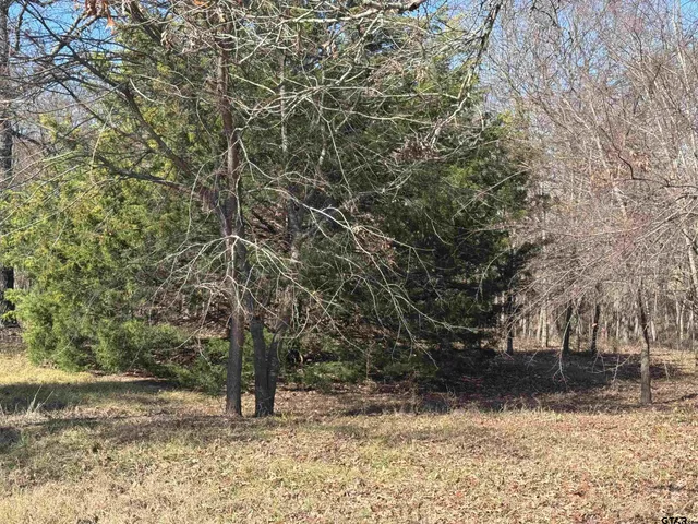 $205,000 | 23240 Bridle View Drive, Lindale, TX 75771