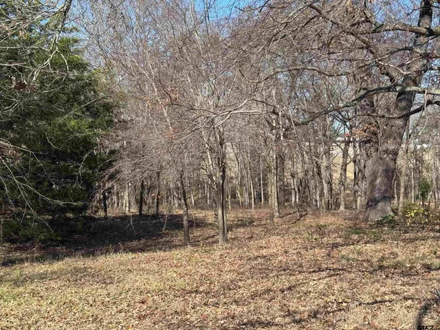 $205,000 | 23240 Bridle View Drive, Lindale, TX 75771