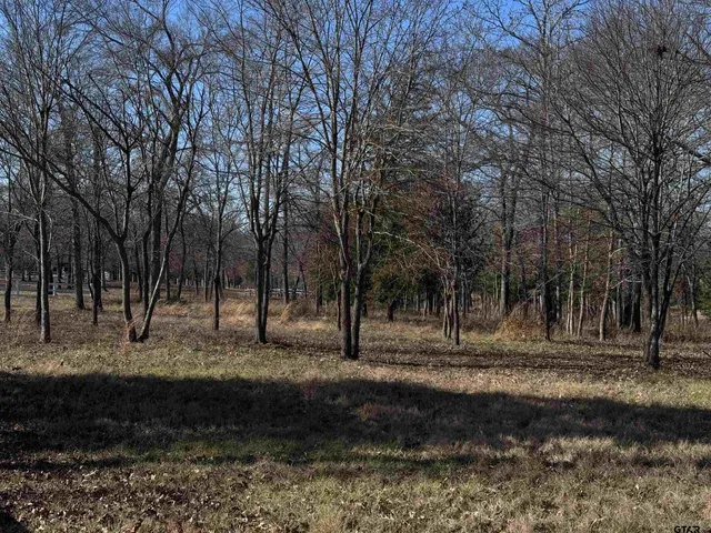 $205,000 | 23240 Bridle View Drive, Lindale, TX 75771