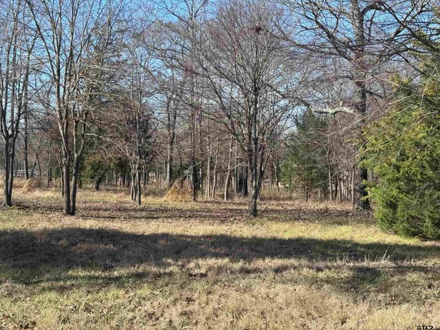 $205,000 | 23240 Bridle View Drive, Lindale, TX 75771