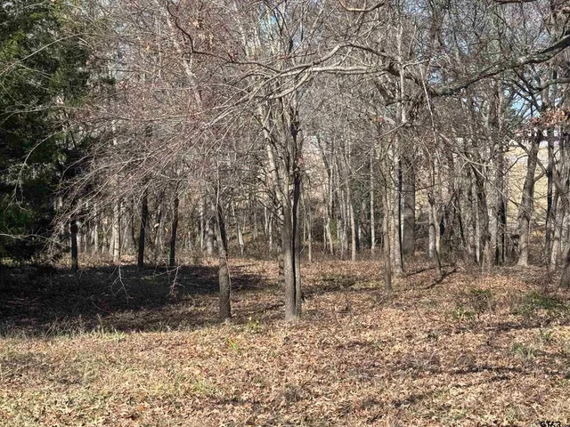 $205,000 | 23240 Bridle View Drive, Lindale, TX 75771