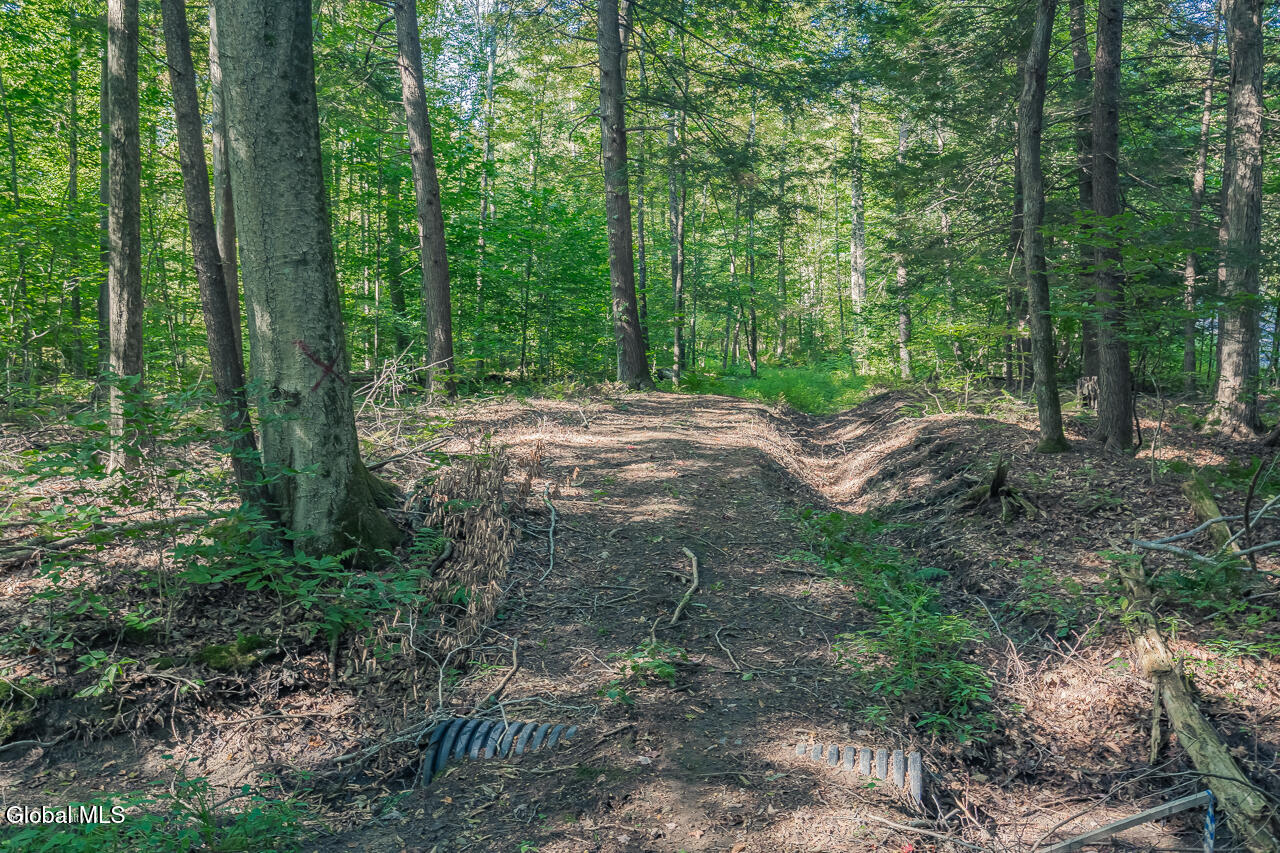 9 Route 9 Wilton, NY 12831 - Photo 11 of 15 MLS-11