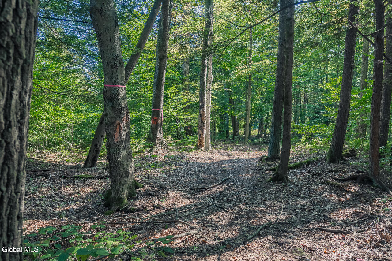 9 Route 9 Wilton, NY 12831 - Photo 12 of 15 MLS-12