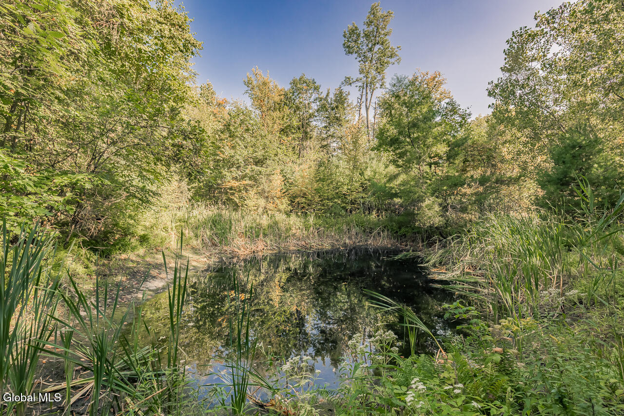 9 Route 9 Wilton, NY 12831 - Photo 3 of 15 MLS-14