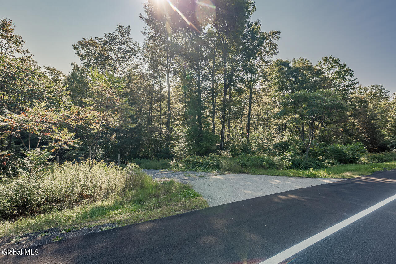 9 Route 9 Wilton, NY 12831 - Photo 8 of 15 MLS-6