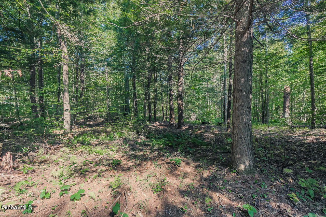 9 Route 9 Wilton, NY 12831 - Photo 10 of 15 MLS-10